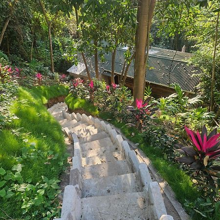 La Casa Del Mono Villa มินกา ภายนอก รูปภาพ
