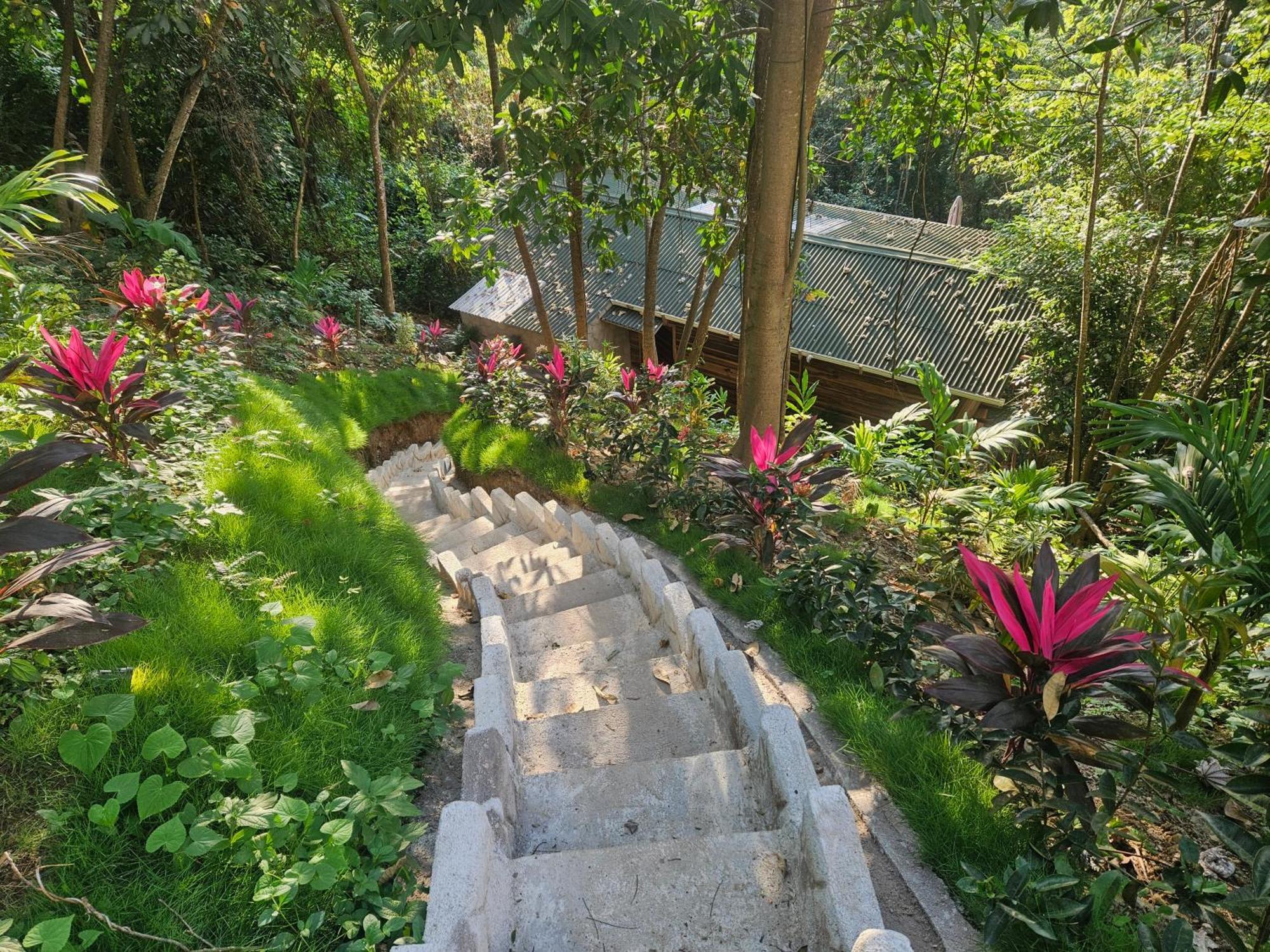 La Casa Del Mono Villa มินกา ภายนอก รูปภาพ