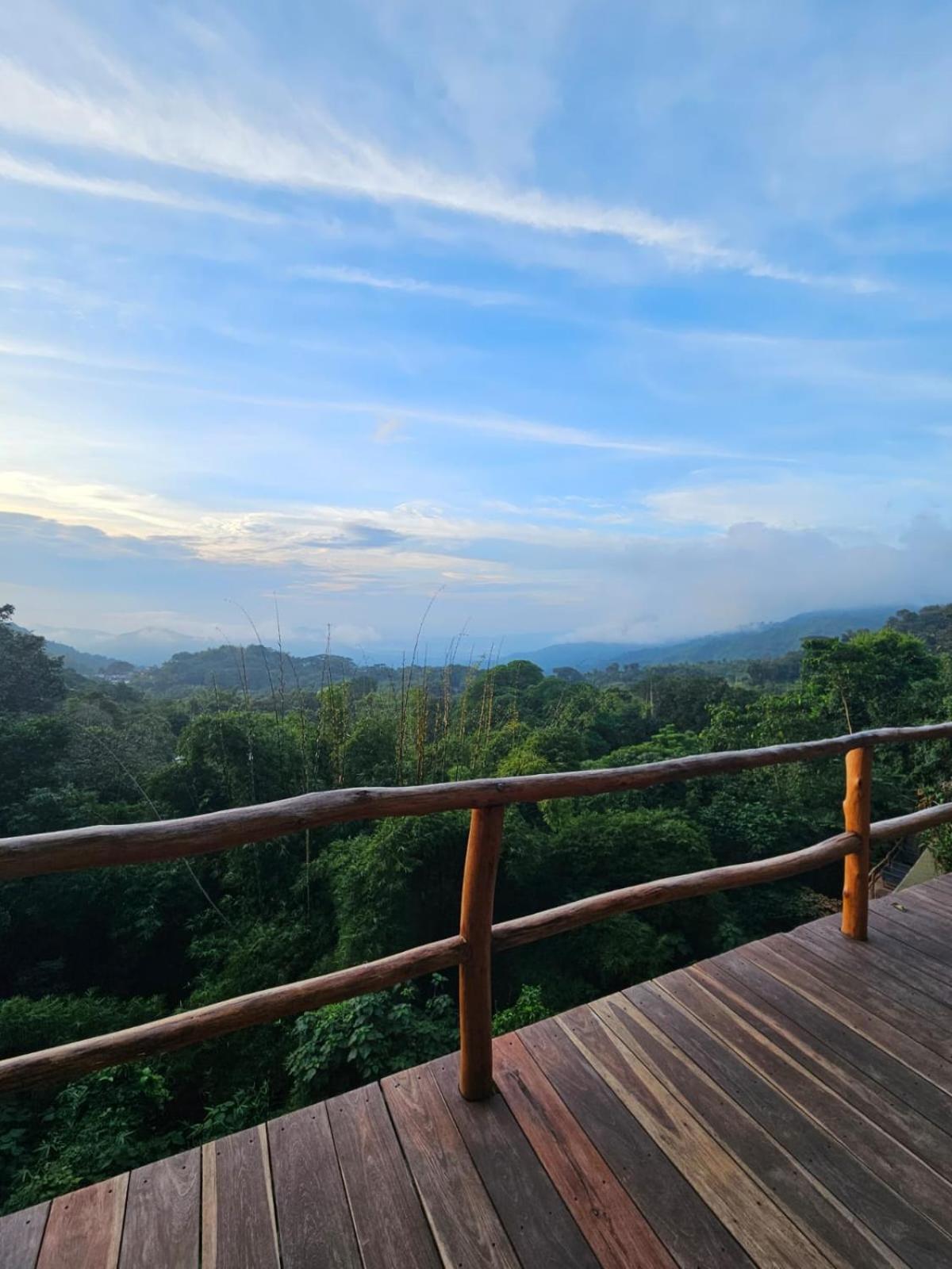 La Casa Del Mono Villa มินกา ภายนอก รูปภาพ