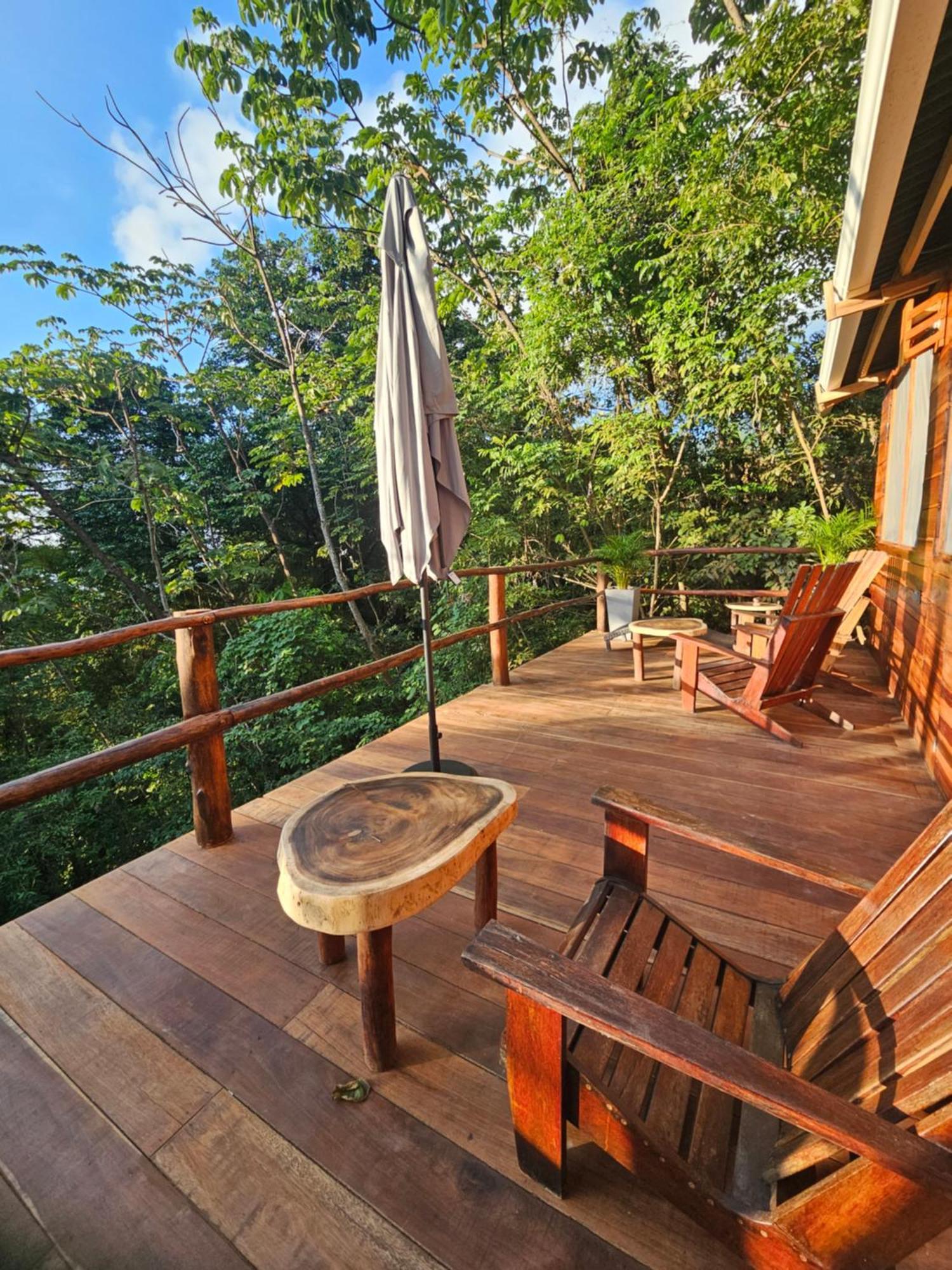 La Casa Del Mono Villa มินกา ภายนอก รูปภาพ